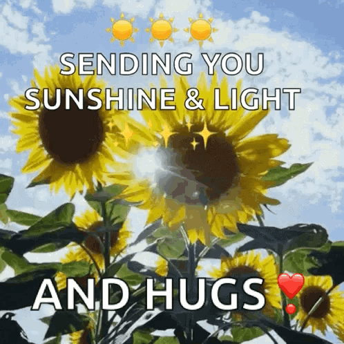 Sunflowers Sending Hugs