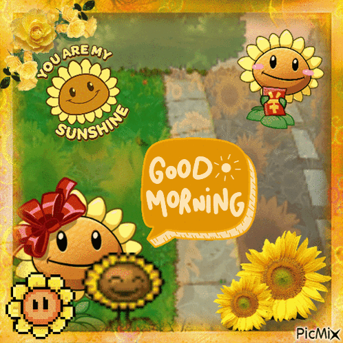 Sunflowers You Are My Sunshine