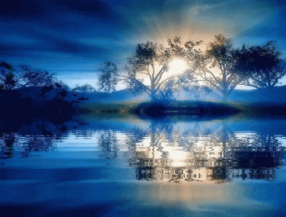 Sunlight Calming Water GIF