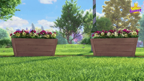 Sunny Bunnies Looking For Something GIF