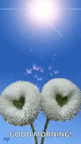 Sunny Saturday Heart Flowers GIF