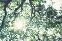 Sunny Warm Morning GIF