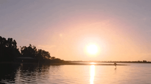 Sunrise Beach Camp GIF