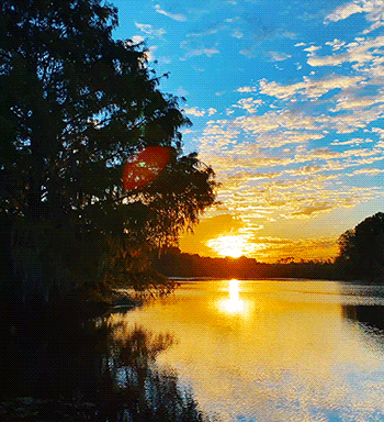 Sunrise Blue Sky Water GIF