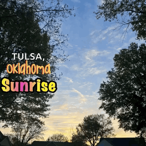 Sunrise in Tulsa Oklahoma With Trees