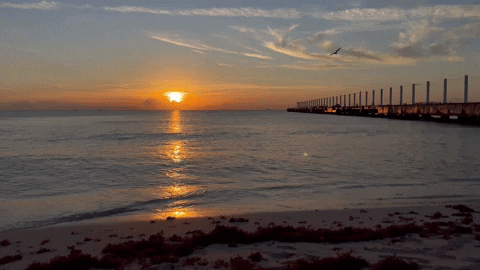 Sunrise Playa Del Carmen GIF