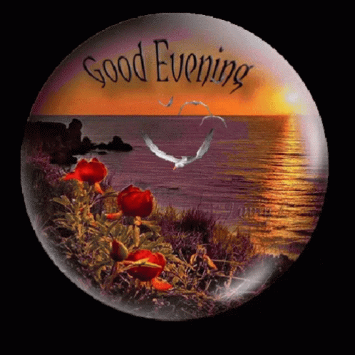 Sunset Good Evening