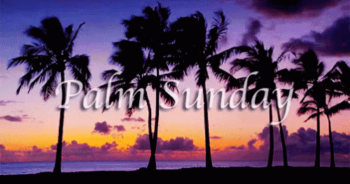 Sunset Happy Palm Sunday GIF