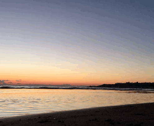 Sunset Man Dog Beach Running GIF