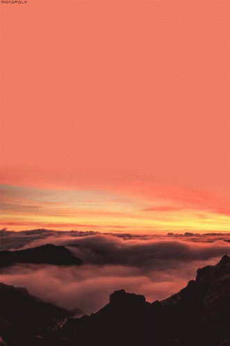 Sunset Monopoly