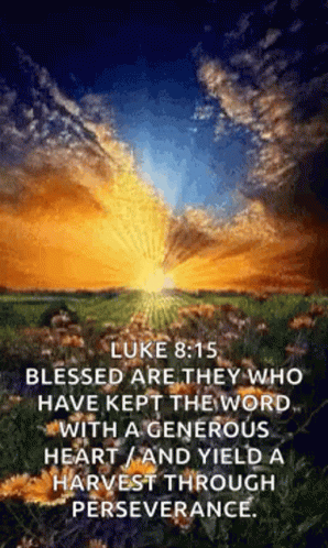 Sunset Over Flower Field With Bible Verse