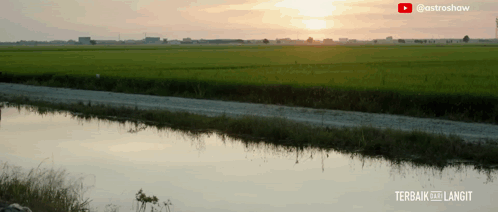 Sunset Over Lush Green Field With YouTube Watermark