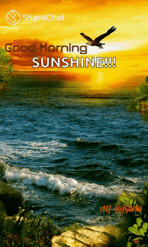 Sunset Over Water Saying Good Morning Sunshine