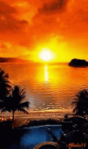 Sunset Over Water with Palm Trees