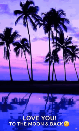 Sunset Palm Trees Love You To The Moon And Back GIF