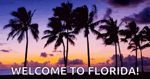 Sunset Palm Trees Welcome to Florida