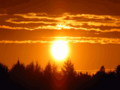 Sunset Sun Shining Through Clouds and Trees