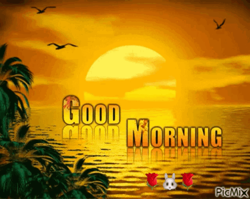 Sunset With Good Morning