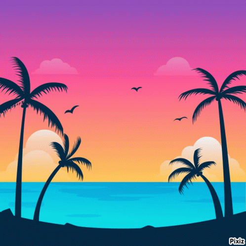 Sunset With Palm Trees and Pixiz