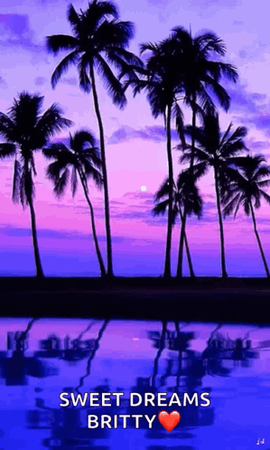 Sunset With Palm Trees Sweet Dreams Britty GIF