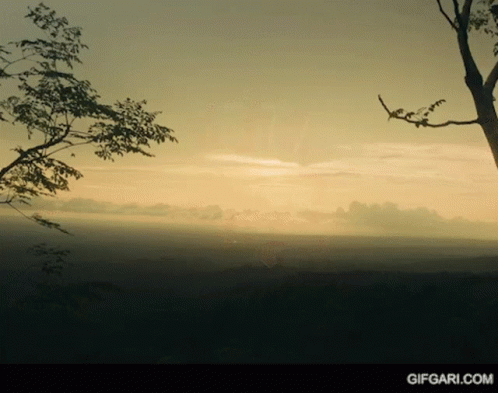 Sunset With Tree And Gifgari.com GIF