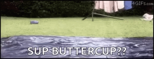 Sup Gif File 1859kb GIF