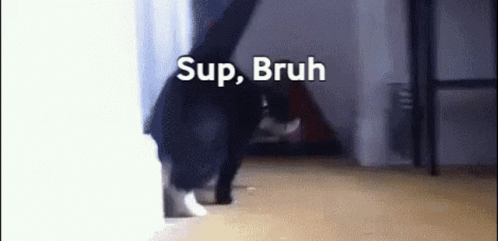 Black Cat Says Sup Bruh GIF