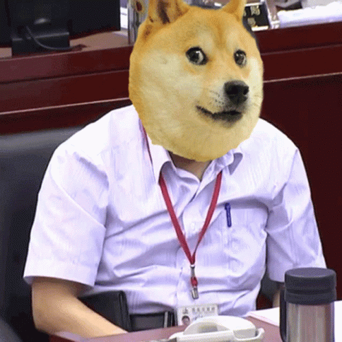 Super Angry Doge Meme GIF