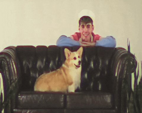 Super Behave Dog Meme GIF