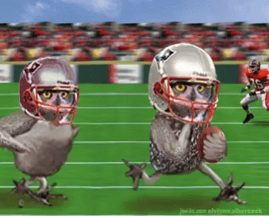 Super Bowl Owls Playing Football Animation GIF