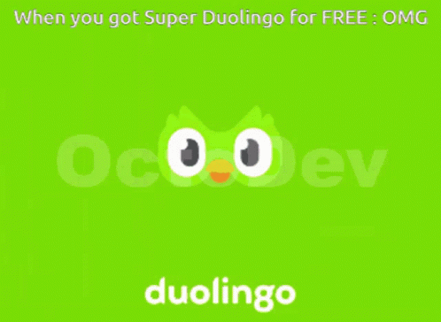Super Duolingo Meme GIF