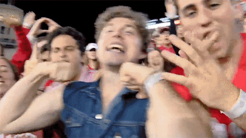 Super Happy Ohio Meme Fans GIF