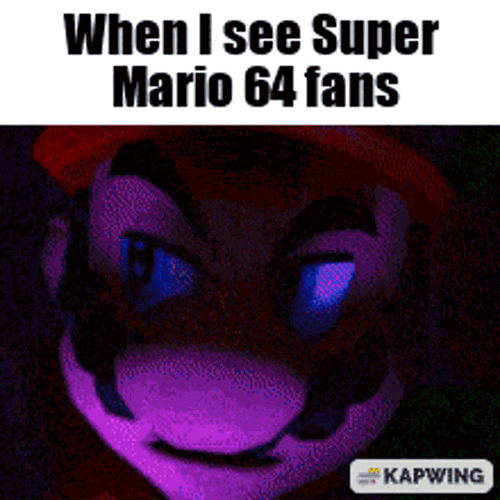 Super Mario 64 Fans Meme GIF