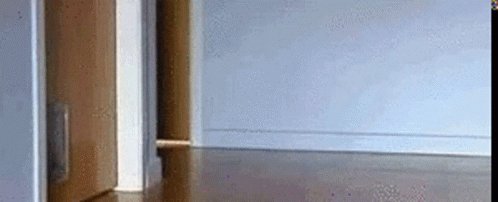 Super Mario Cat Running GIF