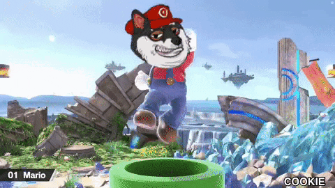 Super Mario Odyssey Dog Head GIF