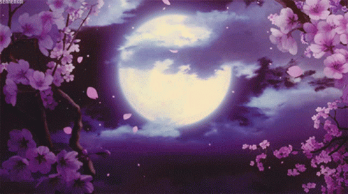 Super Moon Between Sakura Tree Branches GIF