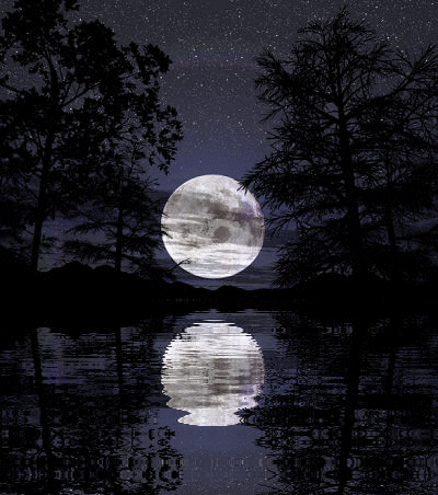 Super Moon Reflecting On Water GIF
