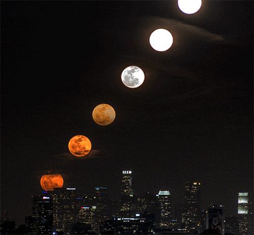 Super Moon Timelapse Above City Buildings GIF