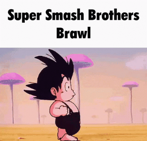 Super Smash Brothers Brawl GIF
