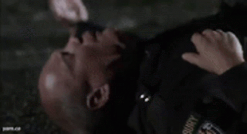 Super Troopers Got Caught GIF