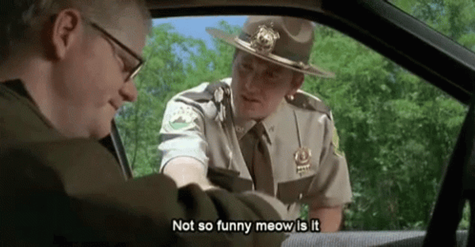 Super Troopers Not So Funny GIF