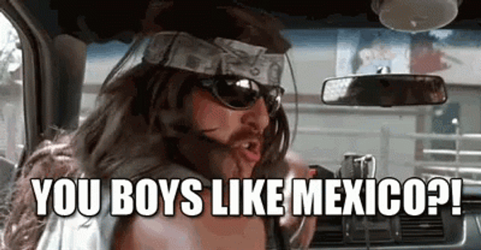 Super Troopers You Like Mexico GIF