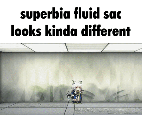 Superbia Fluid Sac Looks Kinda Different Written On A White Wall GIF