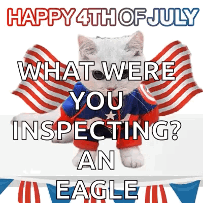 Superhero Cat Happy 4th July What Inspecting Eagle
