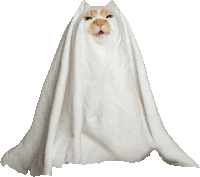 Supernatural Spooky Sticker GIF