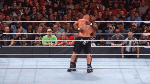 Suplex Brock Lesnar And Bobby Lashley GIF