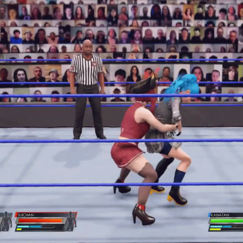 Suplex City Video Games GIF