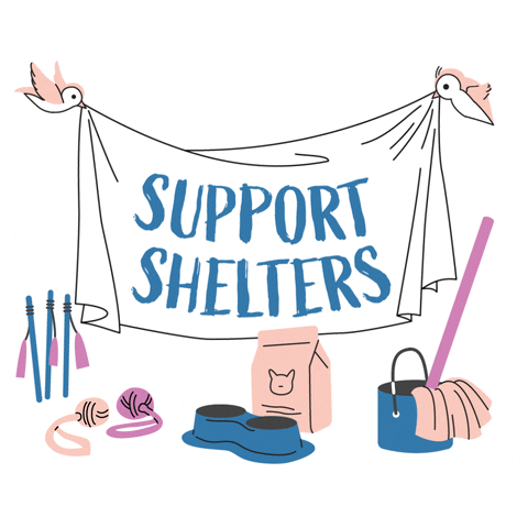 Support Shelters Animation GIF