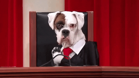 Supreme Court Judge Dog GIF