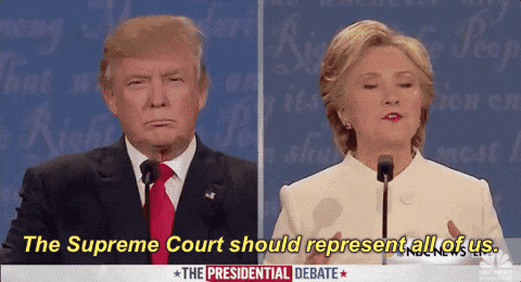 Supreme Court Should Represent All Of Us GIF